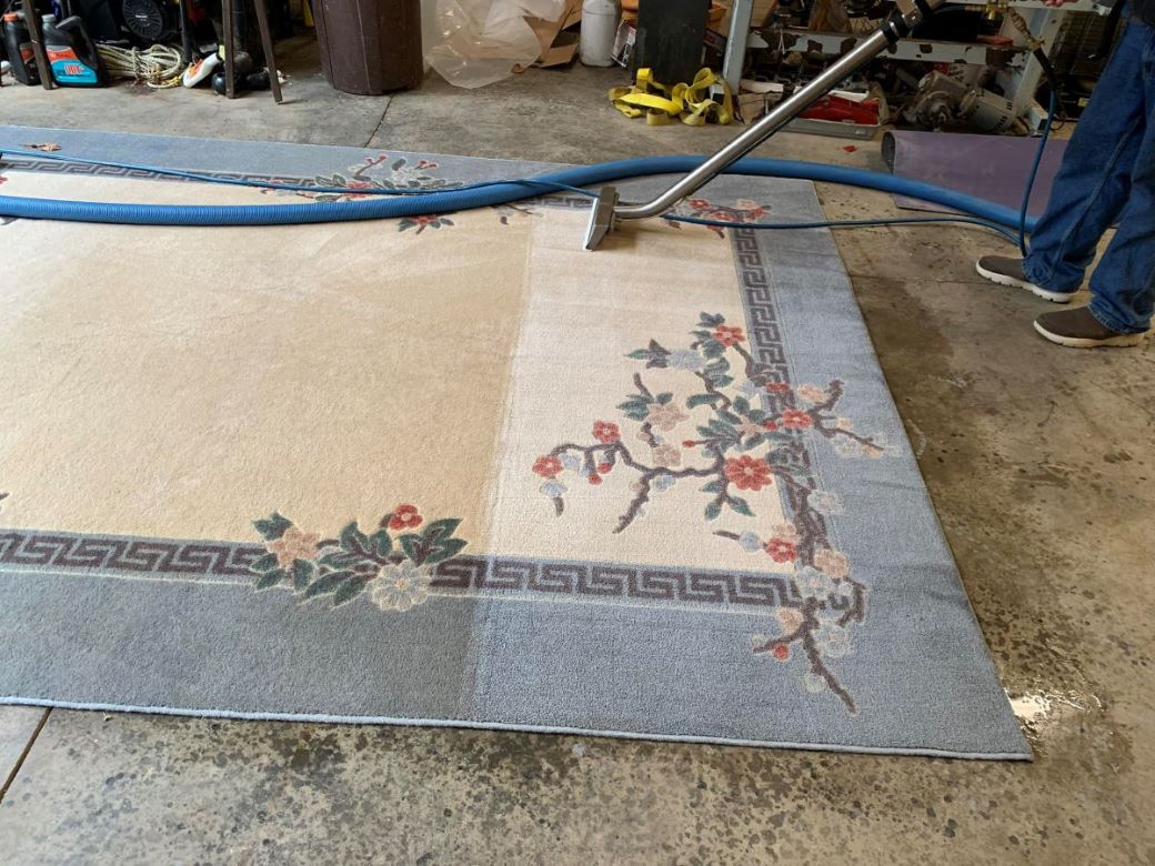Professional Carpet Steam Cleaning