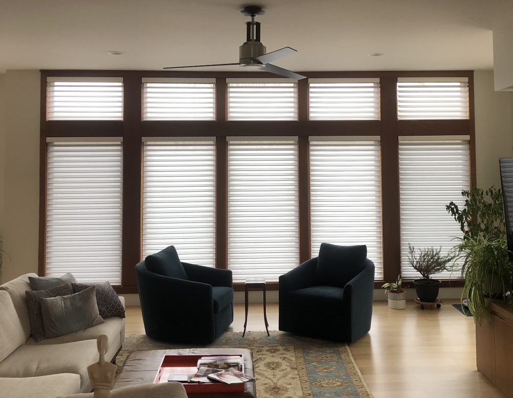Windows with sheer window treatments
